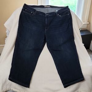 Levi Strauss Boyfriend Jean's Size 26W